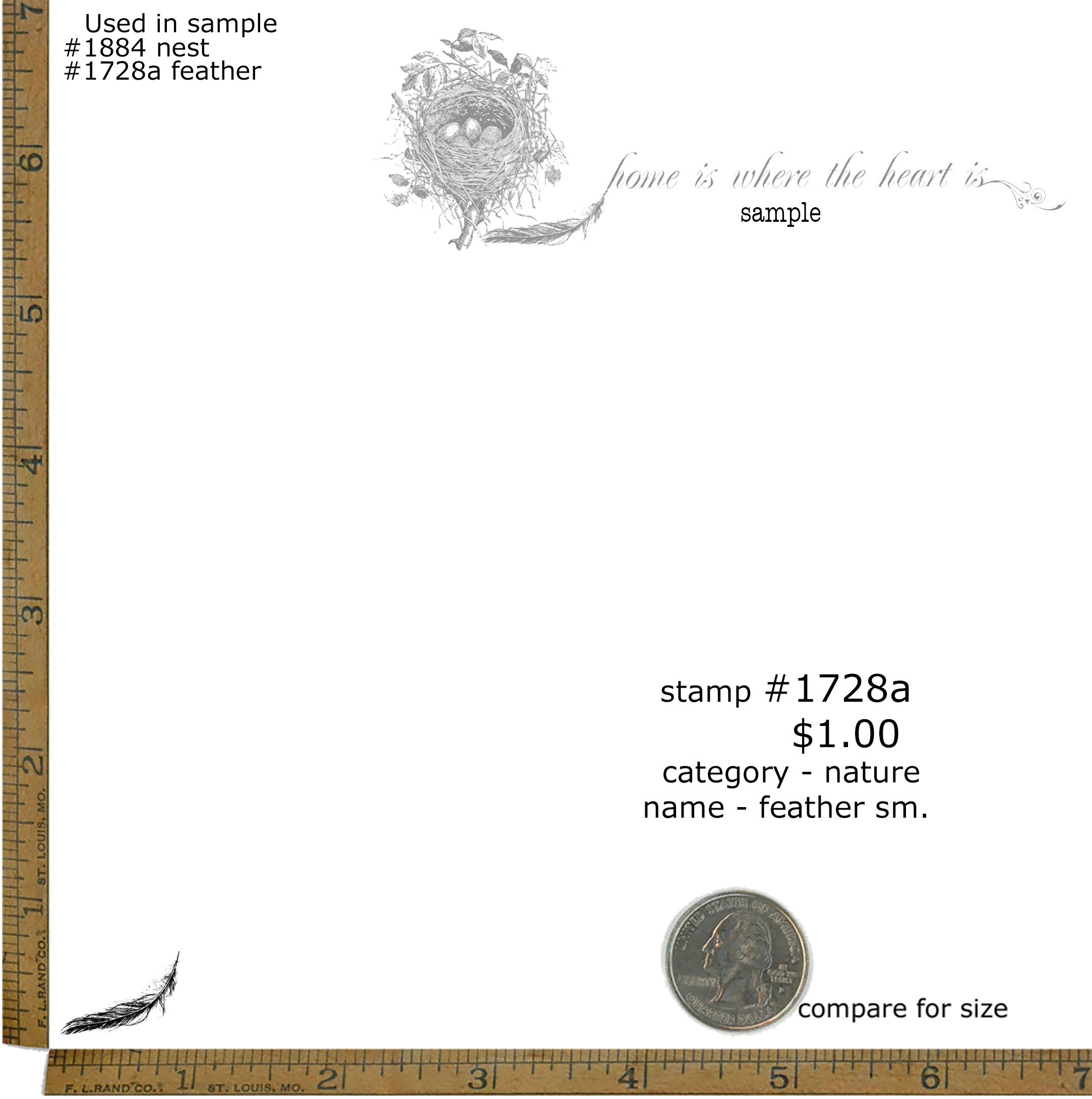 #1728 - Feather Sm - Nature